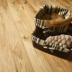 Grand Canyon Oak Engineered Wood Flooring 14mm x 180mm Brushed Matt Lacquered