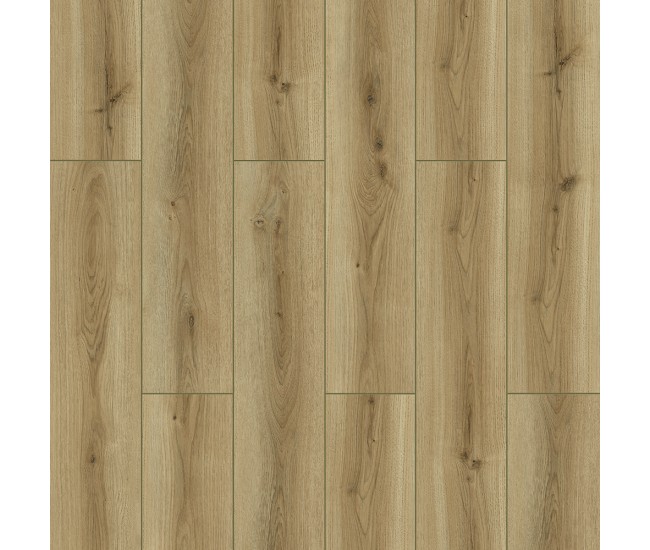 Trent Oak 8mm Laminate Flooring